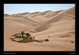 Huacachina Oasis Peru 14